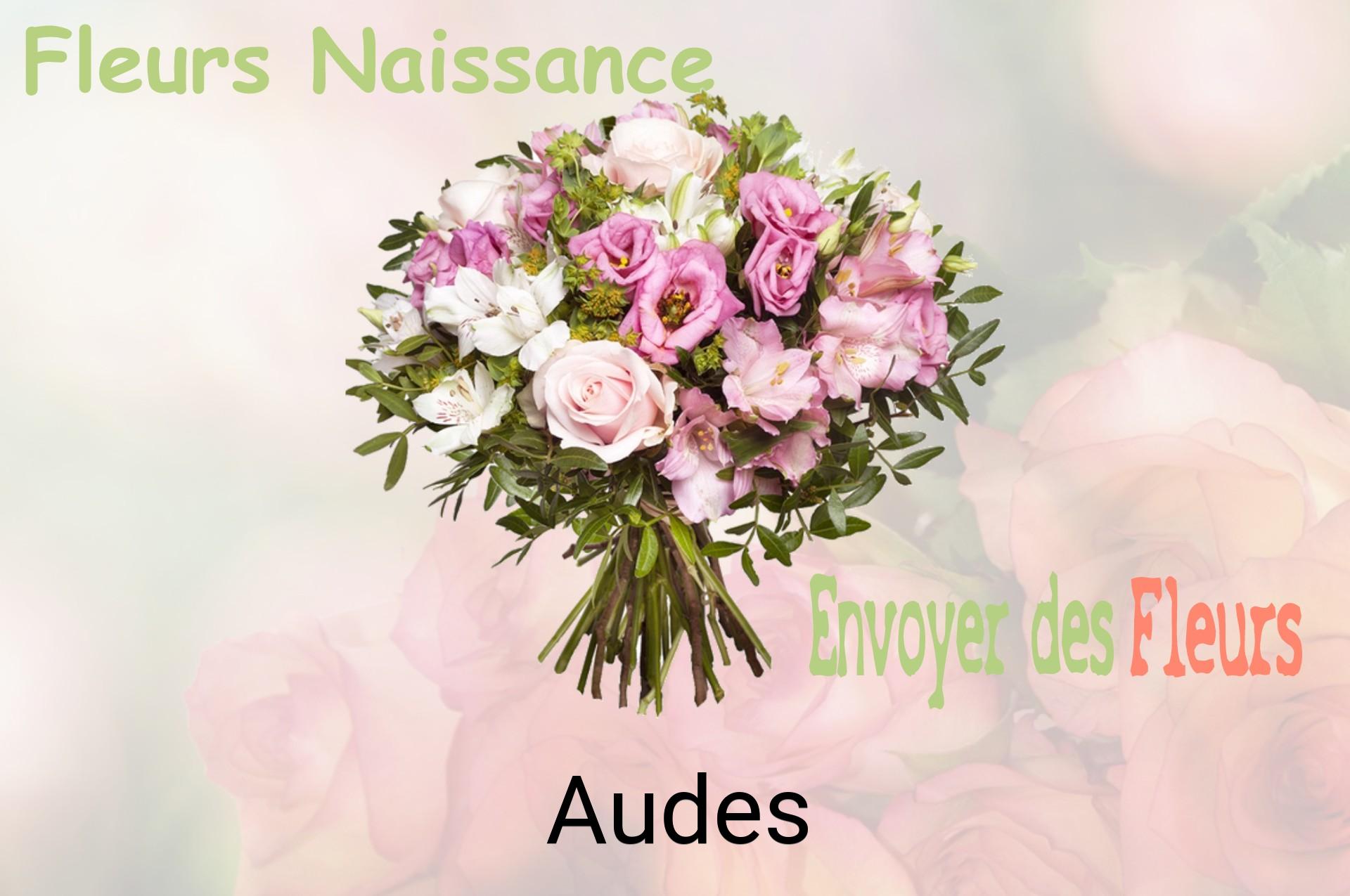 Bouquet de fleurs de naissance livré à Audes