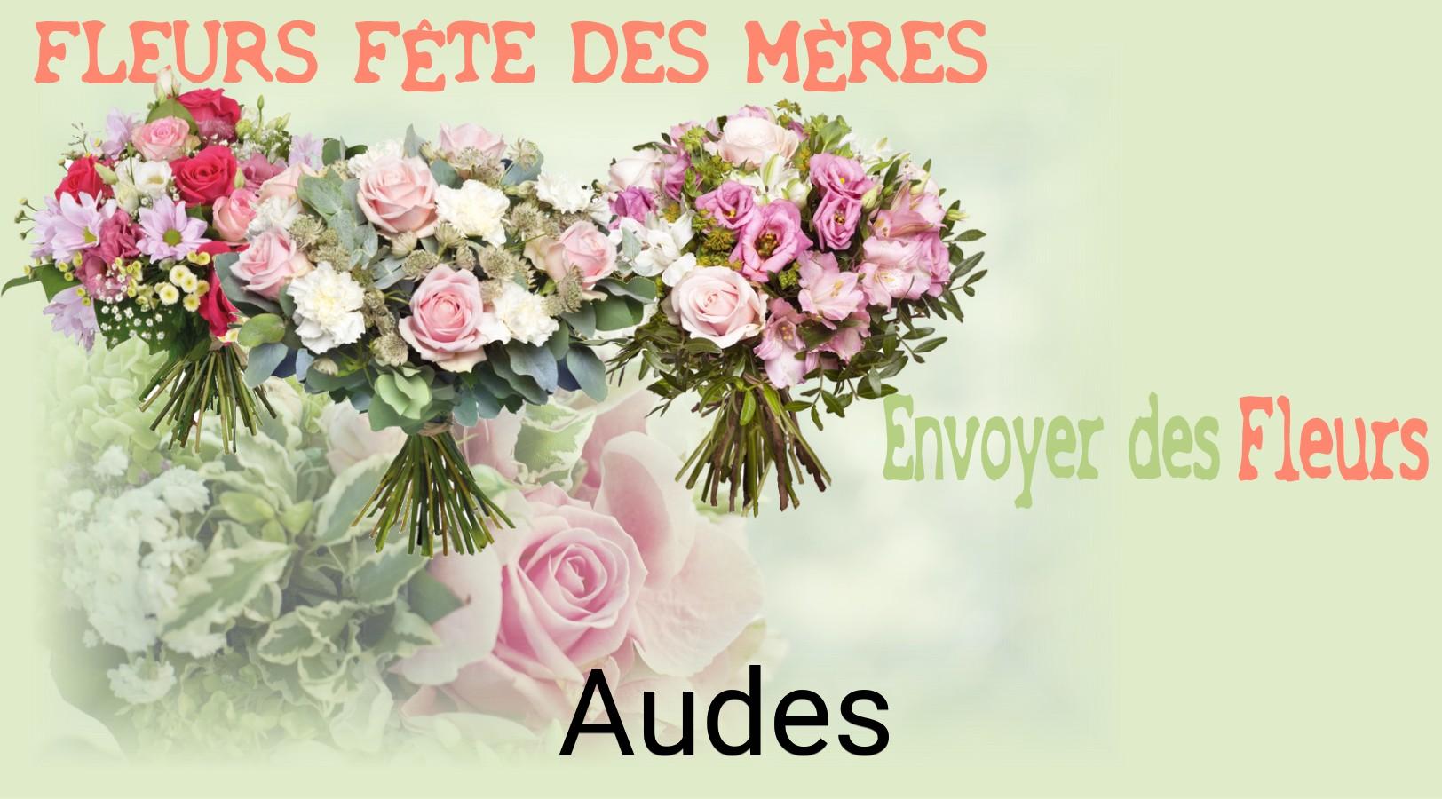 Bouquet de Fête des Mères livré à Audes
